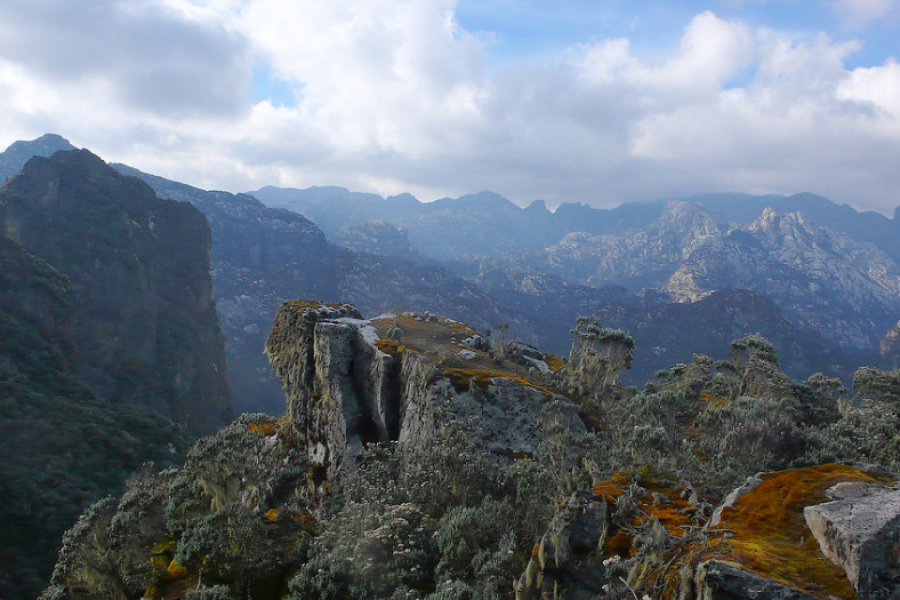 Mount Elgon National Park