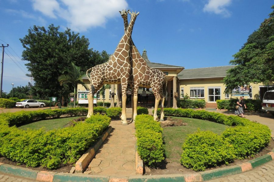 1 Day Explore Entebbe City Tour