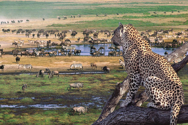 Tanzania