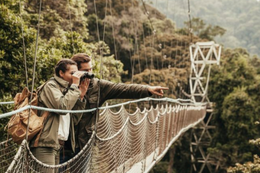 Nyungwe Forest National Park